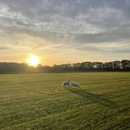 Appartement Twisterhof, Anna,