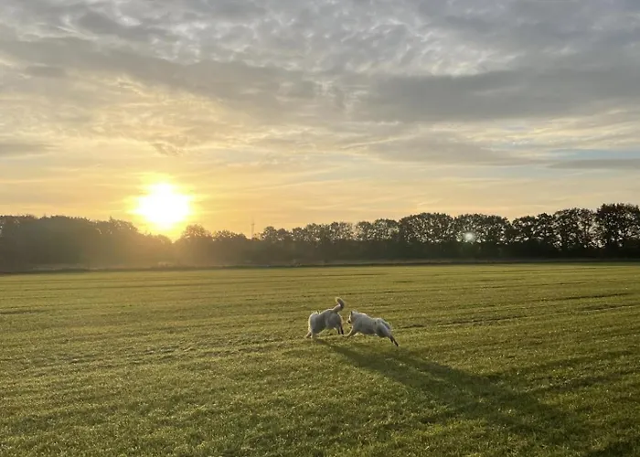 Appartement Twisterhof, Anna,