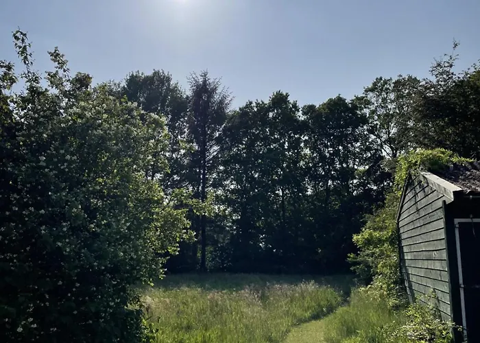 Twisterhof, Anna, Appartement