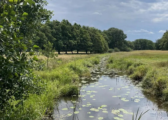 Twisterhof, Anna, Appartement *